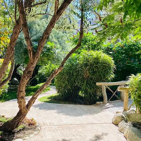 Bratanov Harmony Dream Island *